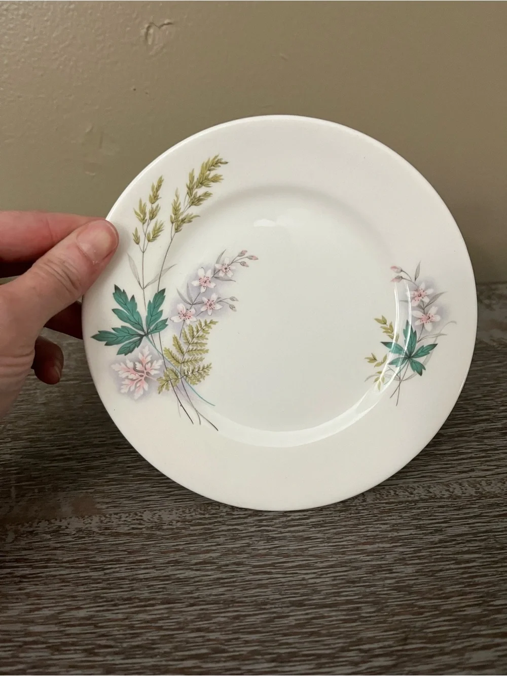 Vintage Queen Anne bone china plate in the Louise pattern, set of six